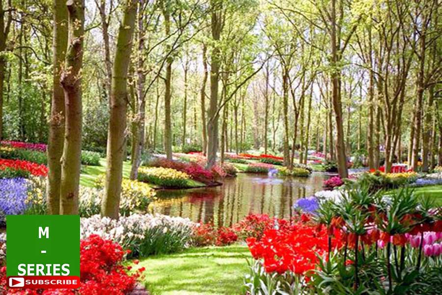 16 relaxing piano music m b worlds best scenic paradise flower garden soothing sounds