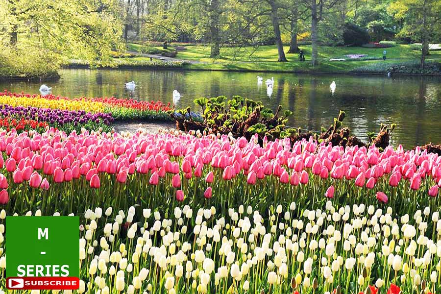 20 relaxing piano music m b worlds best scenic paradise flower garden soothing sounds
