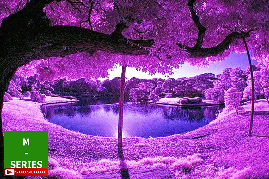 9 relaxing piano music m b worlds best scenic paradise flower garden soothing sounds